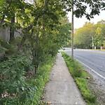 Sidewalk Obstruction at 8 Aston Rd, Chestnut Hill