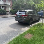 Parking Issues at 17 Browne St