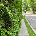 Sidewalk Obstruction at 6 Norfolk Rd, Chestnut Hill