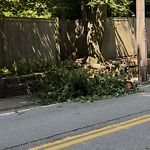 Sidewalk Obstruction at 25 Warren St