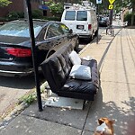 Trash/Recycling at 97 Marion St