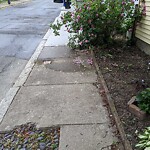 Sidewalk Obstruction at 11 Hart St