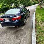 Parking Ticket at 244 Fisher Ave