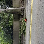 Sidewalk Obstruction at 25 Warren St
