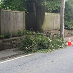Sidewalk Obstruction at 16 Warren St