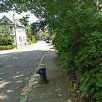Sidewalk Obstruction at 29 Oakland Rd