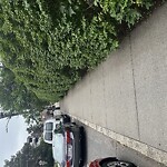 Sidewalk Obstruction at 70 Park St, Brookline 02446
