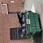 Trash/Recycling at 3 Bradford Terr, Brookline 02446