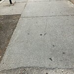 Sidewalk Repair at 302 Harvard St