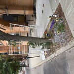 Trash/Recycling at 677 Washington St