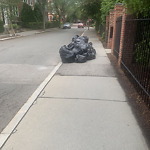 Trash/Recycling at 7 Still St