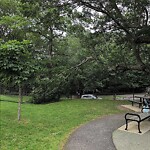 Public Trees at 367 371 Pond Ave