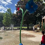Park Playground at 42.34 N 71.14 W
