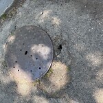 Water and Sewer at Pond Ave