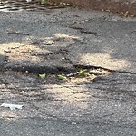 Pothole at 40 Kent St