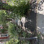 Sidewalk Obstruction at 19 Strathmore Rd