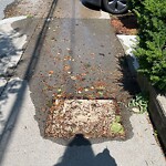 Water and Sewer at 183 Winthrop Rd