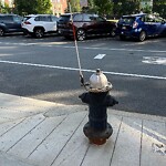 Sidewalk Obstruction at 46 Tappan St