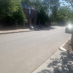 Trash/Recycling at 7 Still St