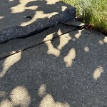 Sidewalk Repair at 42.33 N 71.15 W