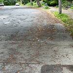 Other at 77 Risley Rd, Chestnut Hill