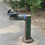 Park Playground at 99 Addington Rd