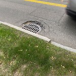 Pothole at 44 Sumner Rd