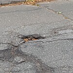 Pothole at 44 Netherlands Rd