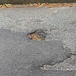 Pothole at 44 Netherlands Rd