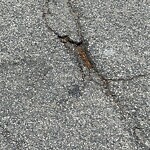 Pothole at 2 Netherlands Rd