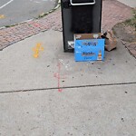 Trash/Recycling at Harvard St Opp Verndale St