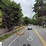 Public Trees at 646 Chestnut Hill Ave