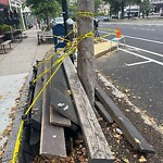 Public Trees at 1656 Beacon St