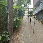 Sidewalk Obstruction at 100 Marion St