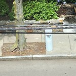 Trash/Recycling at 40 Williams St