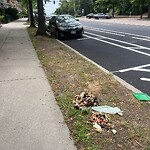 Trash/Recycling at 42.34 N 71.13 W