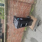 Trash/Recycling at 32 Borland St