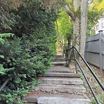 Sidewalk Obstruction at Winchester Path