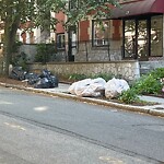 Trash/Recycling at 12 University Rd