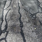 Pothole at 1–77 Lapland St, Chestnut Hill