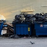 Trash/Recycling at 1003 Beacon St