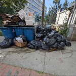 Rodent Issues at Brookline Village