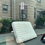 Trash/Recycling at 127 Park St