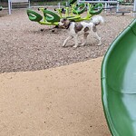 Park Playground at 290 342 Cypress St