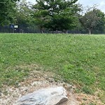 Park Playground at 42.33 N 71.15 W