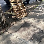 Sidewalk Obstruction at 1807 Beacon St