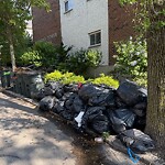 Trash/Recycling at 20 Stearns Rd