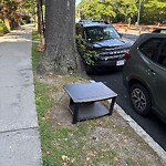 Trash/Recycling at 1519 Beacon St