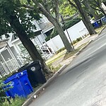 Trash/Recycling at 20 Winslow Rd