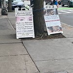 Sidewalk Obstruction at 326 Harvard St